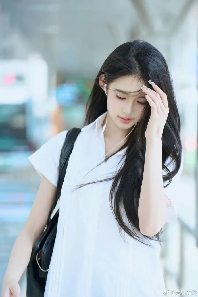 二次元视频下载数据对比